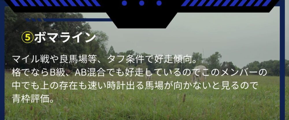 高知ファイナル