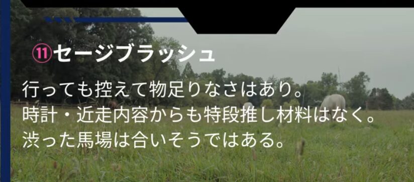 高知ファイナル